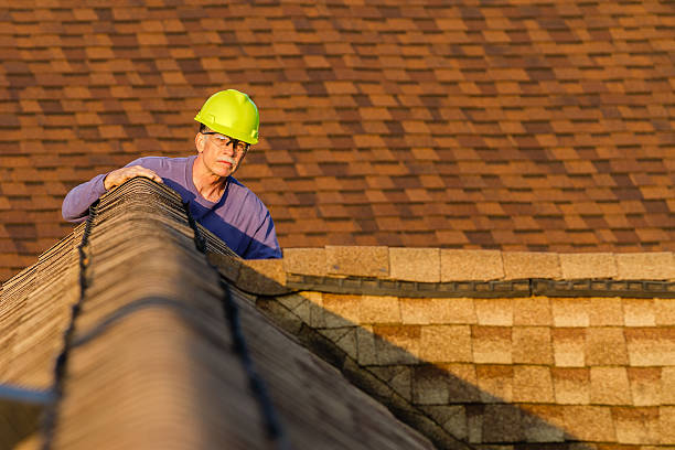 Best Roof Gutter Cleaning  in Carthage, NC