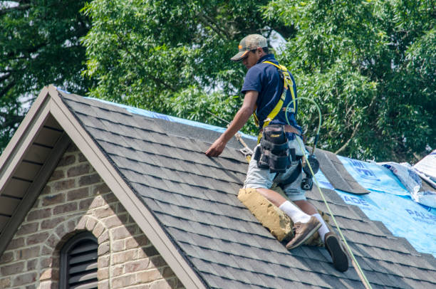 Professional Roofing Contractor in Carthage, NC
